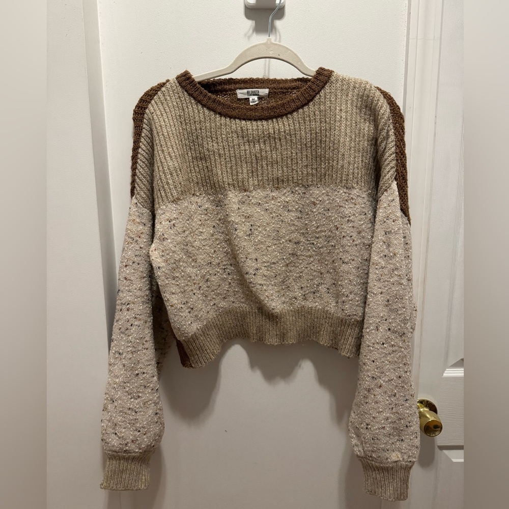 BB Dakota color block sweater